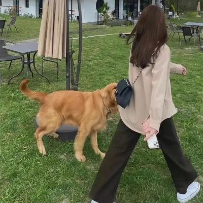 顺其自然的日子